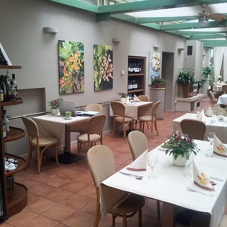Reale * Krakkó